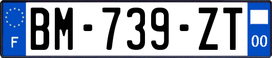 BM-739-ZT