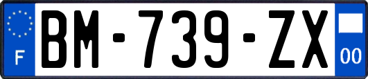 BM-739-ZX