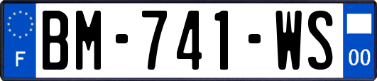 BM-741-WS