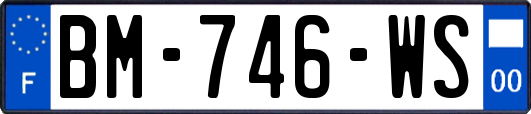 BM-746-WS