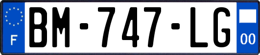 BM-747-LG