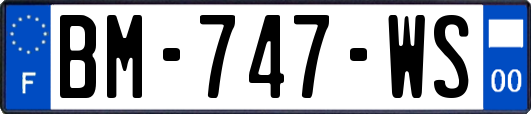 BM-747-WS