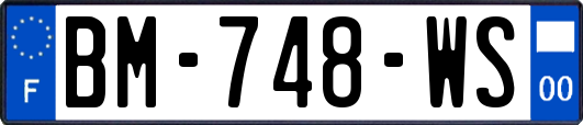 BM-748-WS