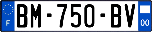 BM-750-BV