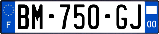 BM-750-GJ