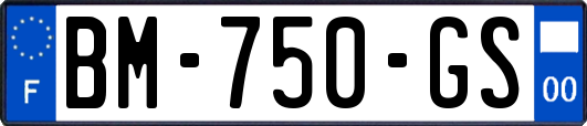 BM-750-GS