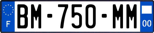 BM-750-MM