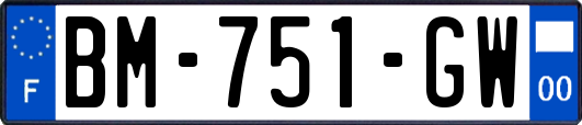 BM-751-GW