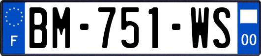 BM-751-WS