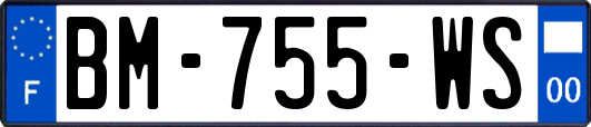 BM-755-WS