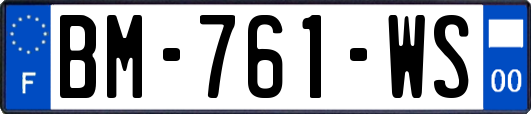 BM-761-WS