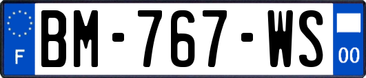 BM-767-WS