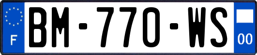 BM-770-WS