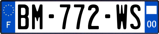 BM-772-WS