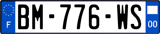 BM-776-WS