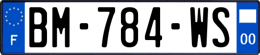 BM-784-WS