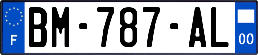 BM-787-AL