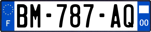 BM-787-AQ