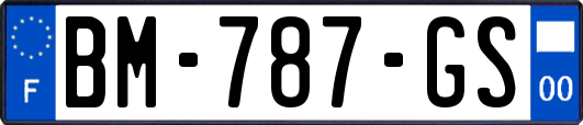 BM-787-GS