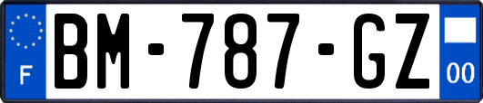 BM-787-GZ