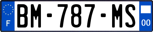 BM-787-MS