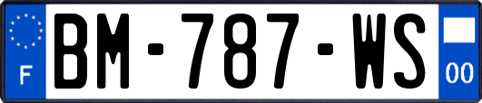 BM-787-WS