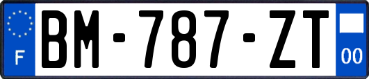 BM-787-ZT