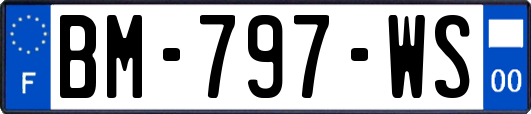 BM-797-WS