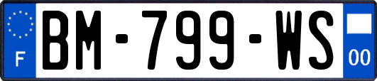 BM-799-WS