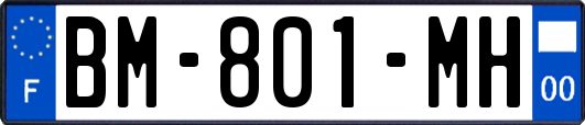 BM-801-MH