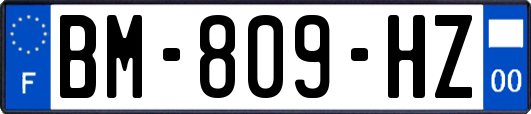 BM-809-HZ