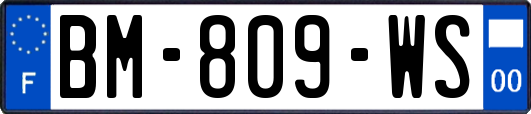 BM-809-WS