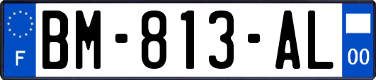 BM-813-AL