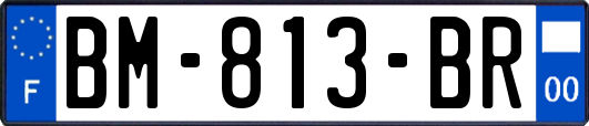 BM-813-BR