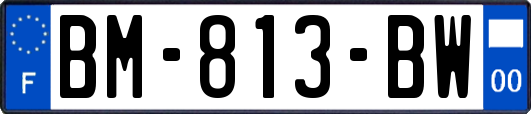 BM-813-BW