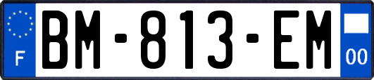 BM-813-EM