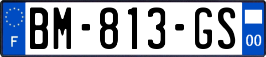 BM-813-GS