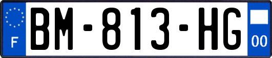 BM-813-HG