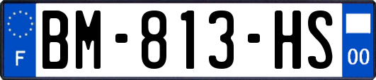 BM-813-HS