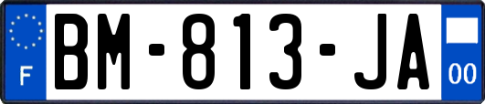 BM-813-JA