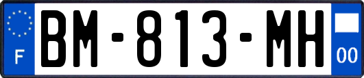 BM-813-MH