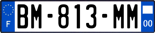 BM-813-MM