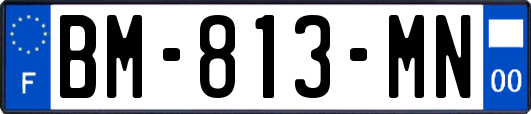 BM-813-MN