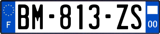 BM-813-ZS