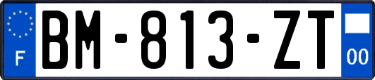 BM-813-ZT