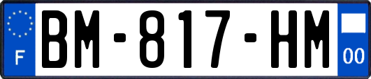 BM-817-HM