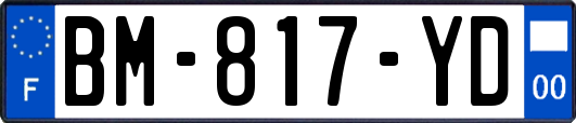 BM-817-YD