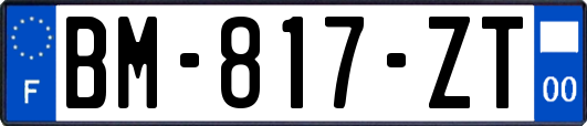 BM-817-ZT