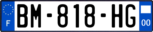 BM-818-HG