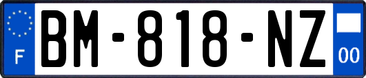 BM-818-NZ